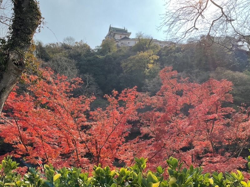西之丸庭園から和歌山城を見る