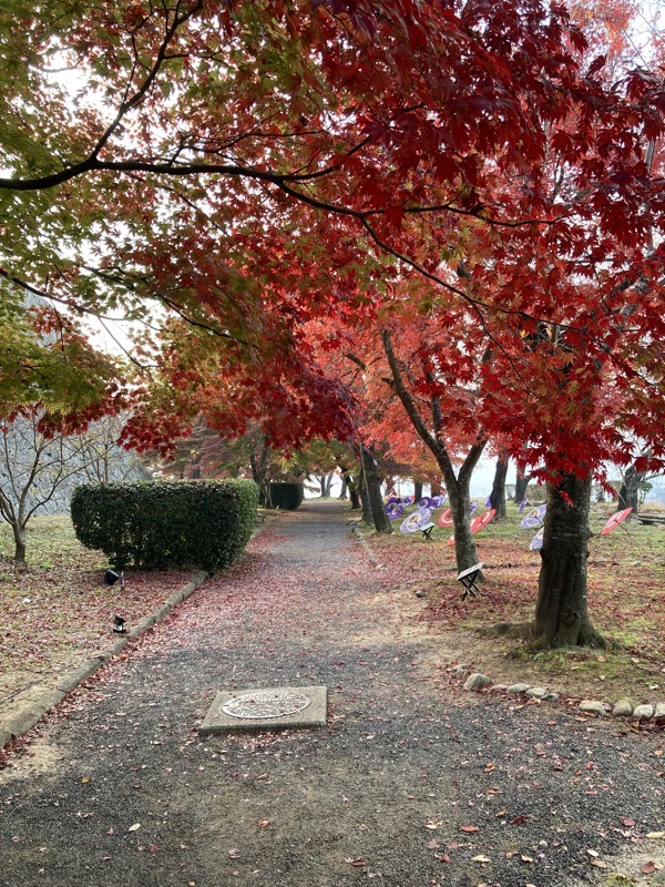 津山城　紅葉の散歩道