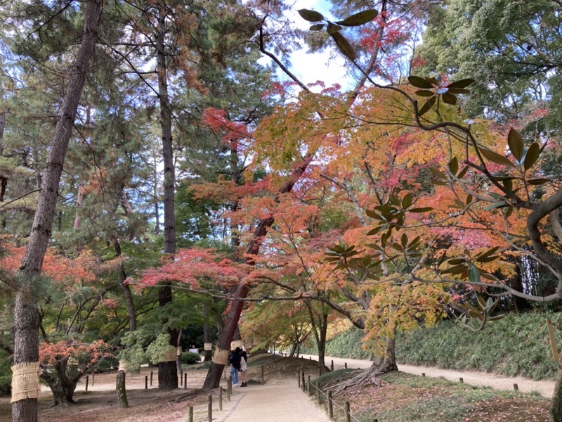 岡山後楽園の紅葉